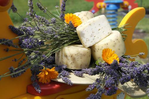 Apartamento Agriturismo Fattoria Monte Baldo