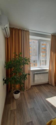 New Clean Apartments