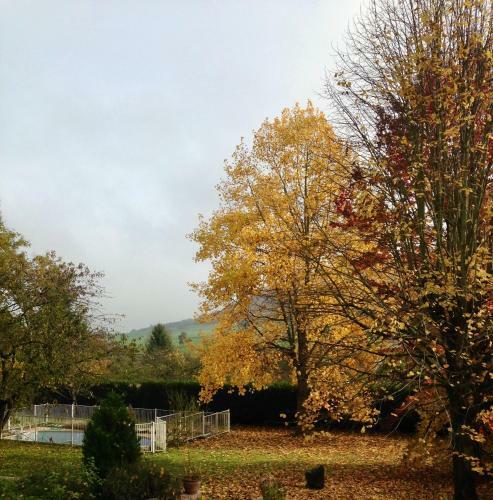 Bed & Breakfast Chambre � Brandeville