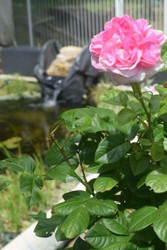 Bed & Breakfast Chambre � Brandeville