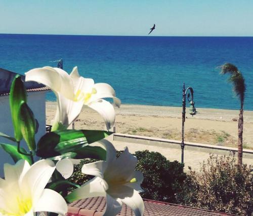 Hostal Al Giglio - Bed And Breakfast