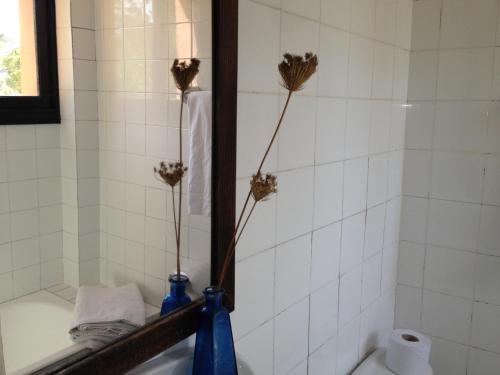 Albergue Hostal Simbad