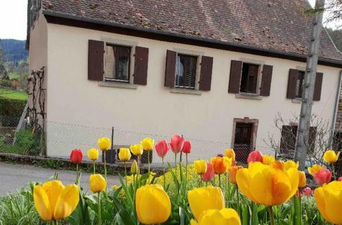 Apartamento Petit Week End Dans La Vall�e