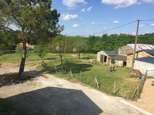 Camping de La Ferme Au �nesses, Mobil Home Happy