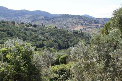 Villa I Renacci