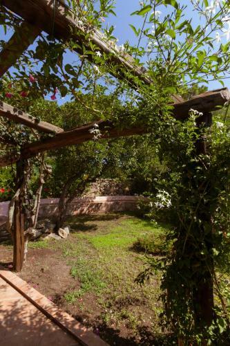 Villa Con Magnifico Terrazzo Iun P6868