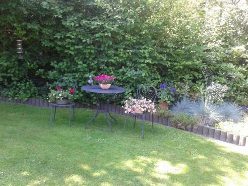 Apartamentos Haus Kollwitzweg - Ferienwohnungen