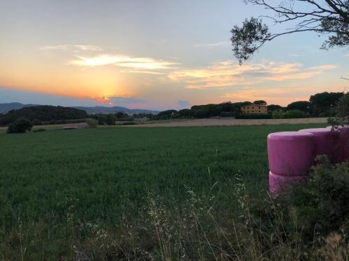 La Barraca