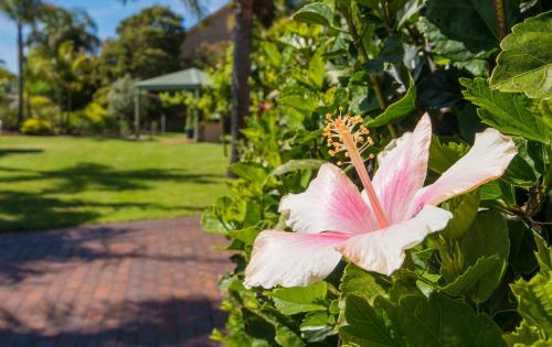 Aparthotel Merimbula Holiday Properties