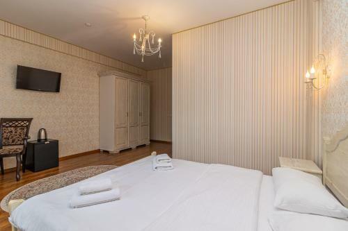 Hotel Pid Strihoju