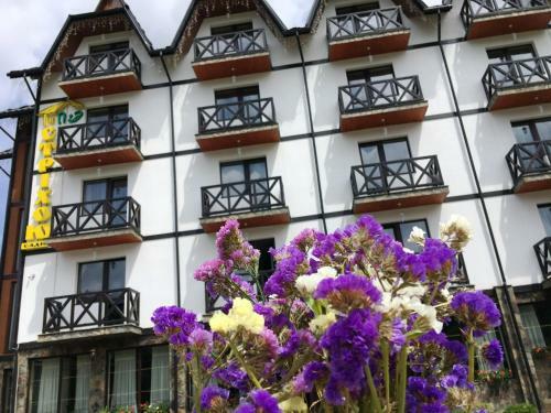 Hotel Pid Strihoju