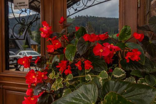Hotel Pid Strihoju