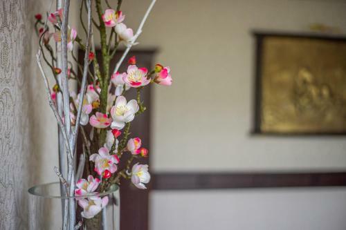 Hotel Pid Strihoju