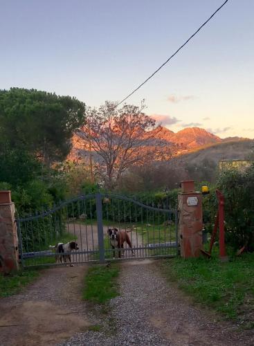 Le Case Del Riccio - Isola D'elba (049004ltn0006)