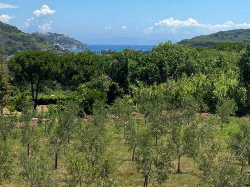 Apartamento Appartamenti Mirella