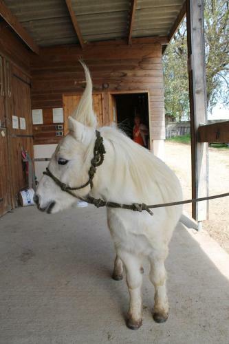 G�tes Du Cheval Blanc