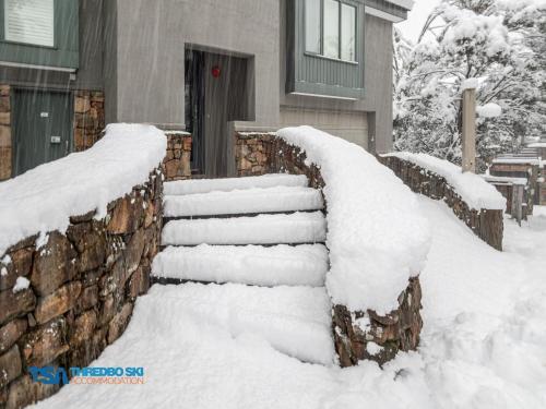 Wintergreen 5