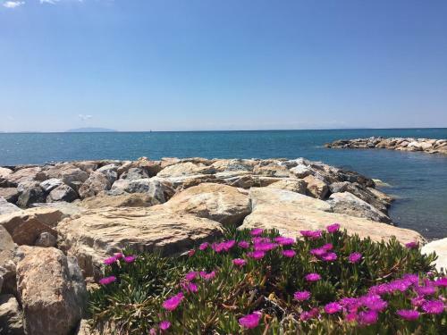 Apartamento Toscana Tour - La Ninfea With Sea View
