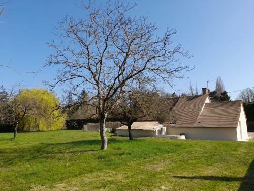 Gite Du Saule - Cheverny