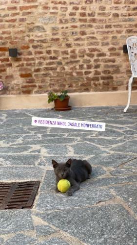 Apartamento Residenza Nikol