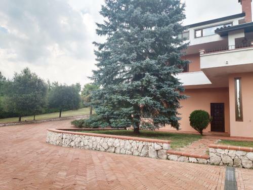 Casa Vacanze Abete Azzurro Con Piscina