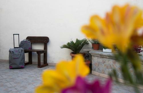 Hostal Le Tre Rose Di Gi�
