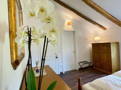 Bed & Breakfast Casa Bea Grado