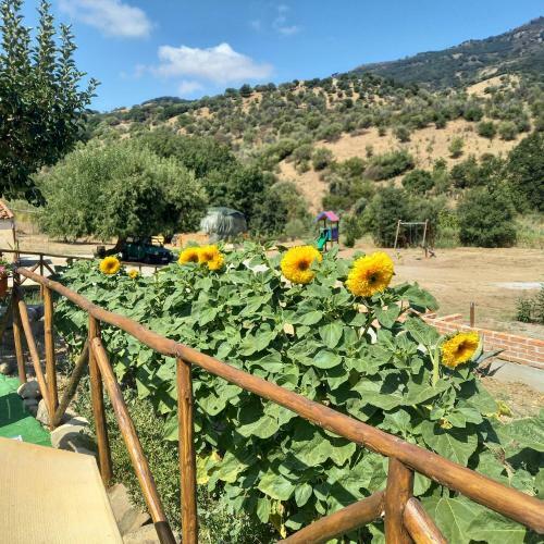 Bed & Breakfast Agriturismo Gentile