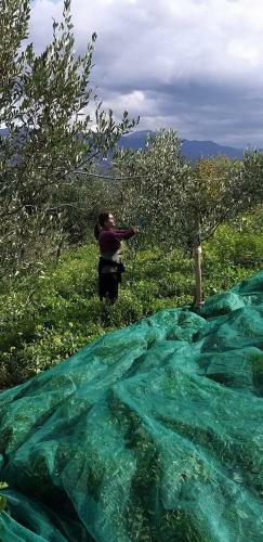 Bed & Breakfast Agriturismo Gentile