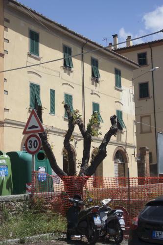 Hostal Affitta Camere Vianova