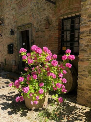 Apartamento Mulino Rotone