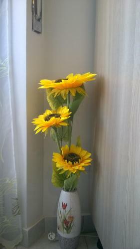 L'appartamentino B&B