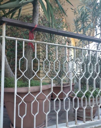 Hostal Le Stanze Di Ginevra - Via Tescione