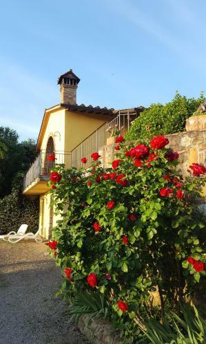 Sunset Hill - Tuscany