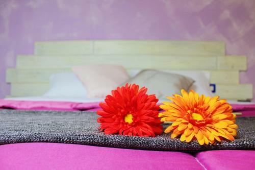 Bed & Breakfast Cielo Stellato