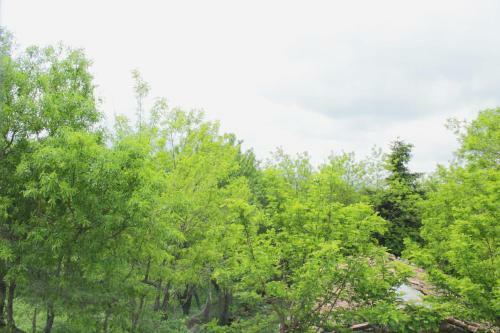 Bed & Breakfast Cielo Stellato