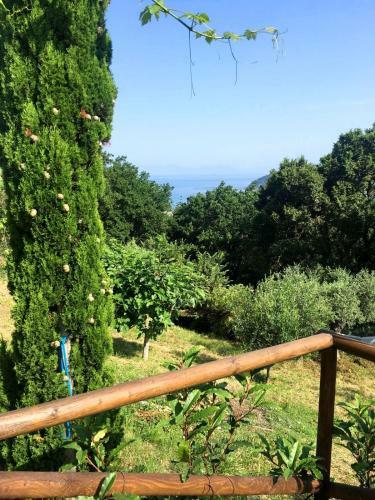 Castellabate - Villa Jole