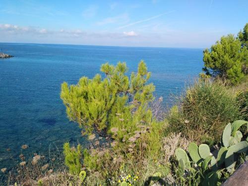 Apartamento Casa Vacanze de Simone San Marco Di Castellabate