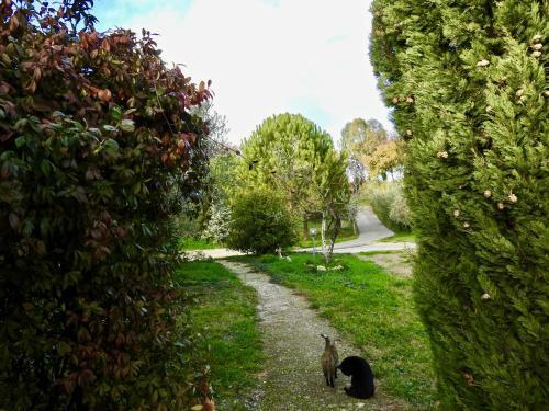 Villa La Casa Gialla