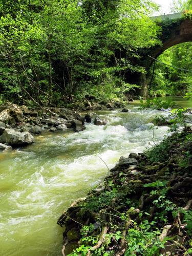 Apartamento Andante Appartamenti