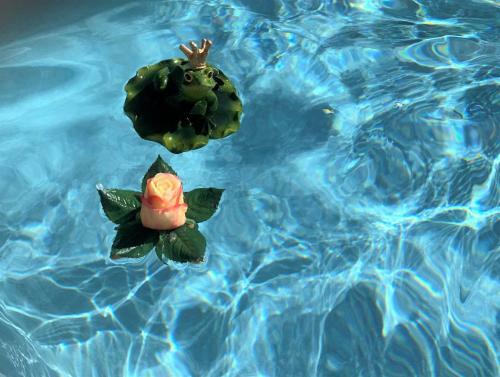 Hostal Ferme De Tayac - Charme Avec Pool