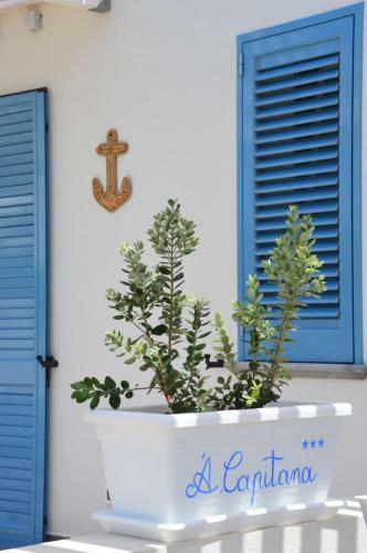 B&B 'a Capitana