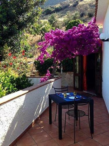 Bed & Breakfast Villa Verdesca