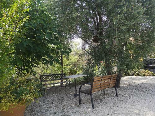 Bed & Breakfast La Salamandre En Provence