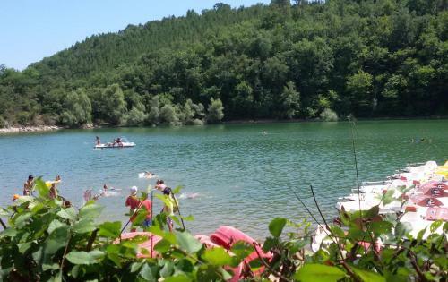 Bed & Breakfast La Salamandre En Provence