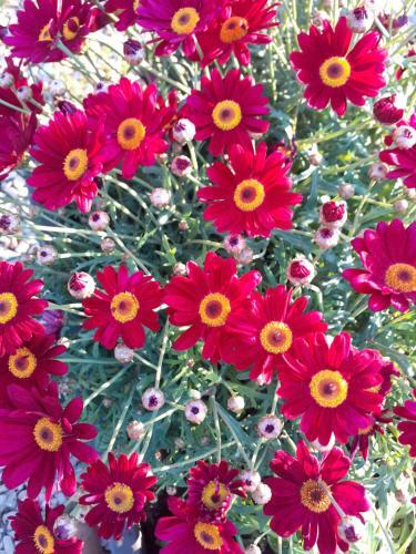 Bed & Breakfast La Salamandre En Provence