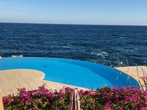 Apartamento P�pite Au Cap N�r�e