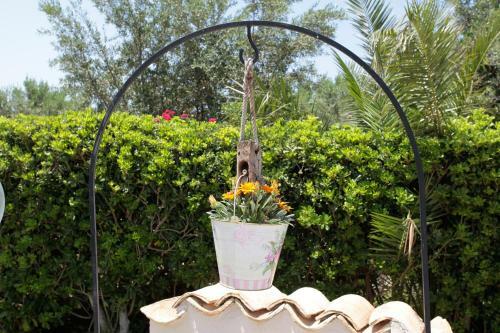 Casa Vacanza Perla Bianca