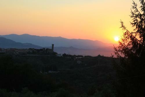 Fattoria Cristina - Fenice