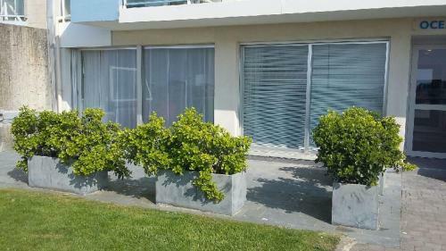 Apartamento Appartement Front de Mer Le Touquet